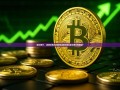 国资银行，稳健发展与创新驱动的双翼-国资银行有哪些?